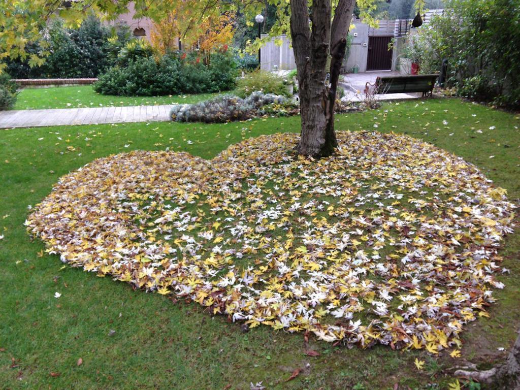 Casa Lo Panzió Cesena Kültér fotó